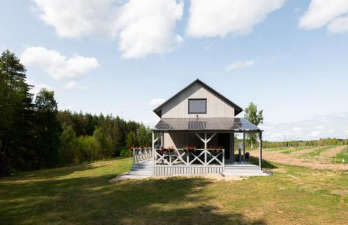 Okno na winnicę - Foto 40