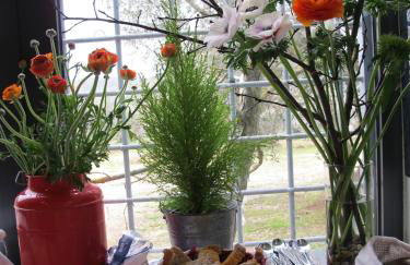 Orto delle Fate - Foto 40