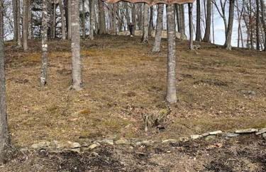 Petting Zoo! Hot Tub, 15 acres, stream & Romance! - Foto 76