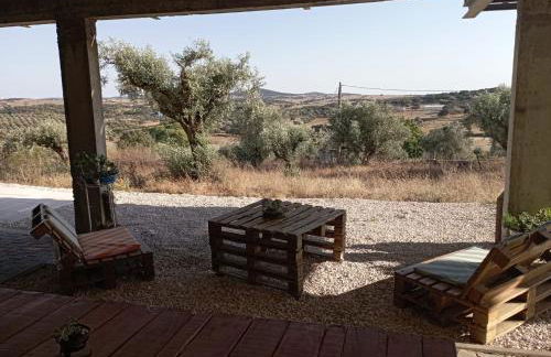 Retiro da cegonha - Foto 62