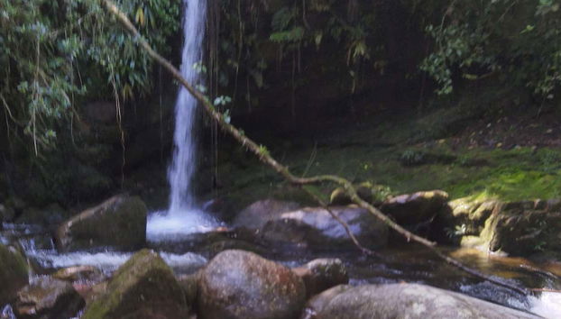 Découvrez les cascades d'Ubatuba