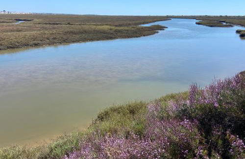 Studio Pedras del Rei - Casa Verde - Foto 10