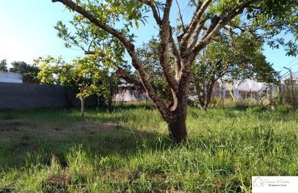 Casa D'Avó (R/C) - Photo 20