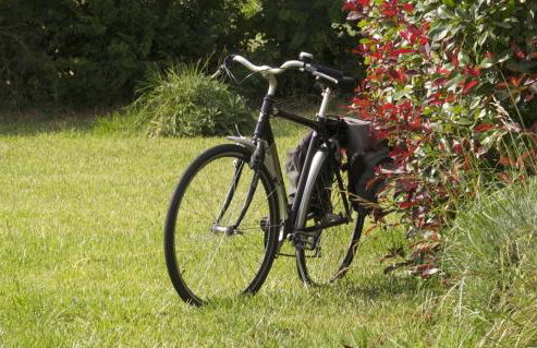 Masseria La Torre - Foto 55