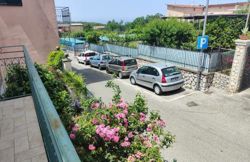 Camelia Vico Equense - Foto 43