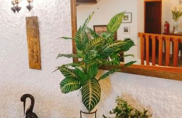 Casa dos Sequeiras - Foto 7