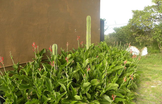 Vistahermosa - Foto 68