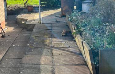 Dawson's Corner Retreat - Foto 21