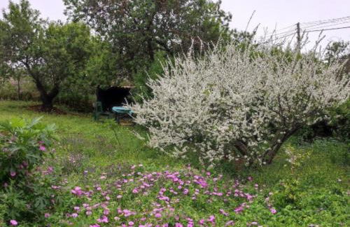 Casa El Sitio - Foto 47