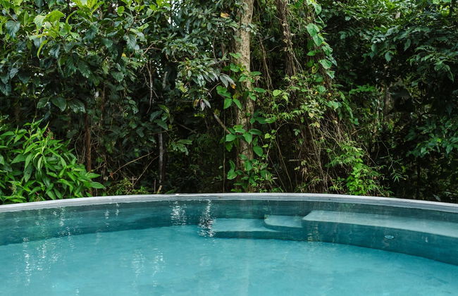 SELVA by DW - Photo 42