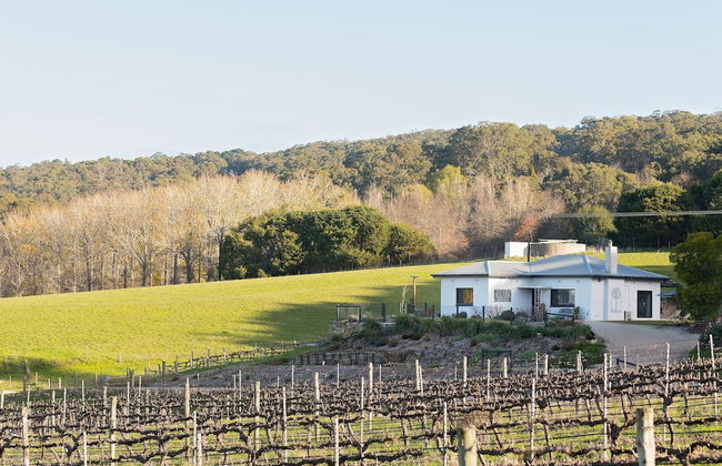 Esto House - Photo 20