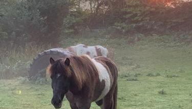 501 Meerzeit - Foto 5