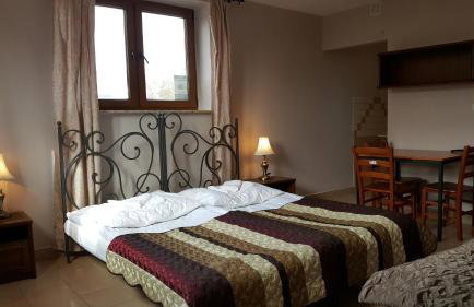 Willa Dzika Róża - Foto 30