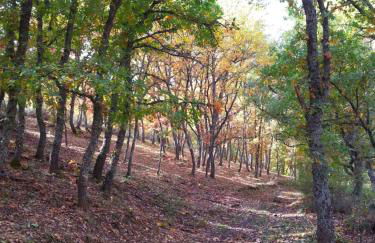 Casa Rural La Casa Del Sol - Foto 12