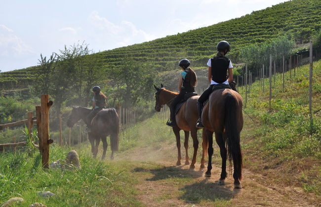 Agriturismo Le Querce del Vareglio - Photo 35