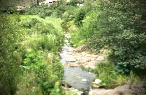Charmant séjour au cœur des vignes de Banyuls - Foto 32