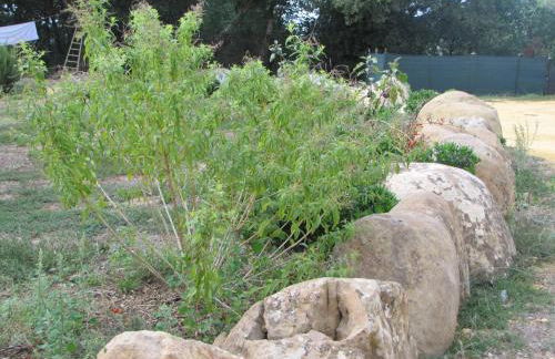 Agriturismo San Pietro - Foto 132