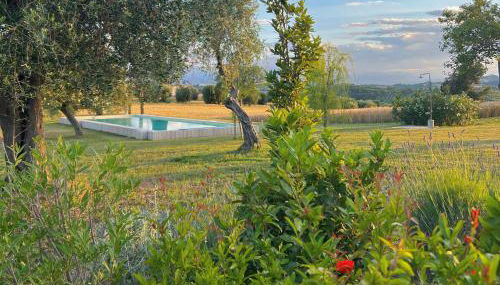 La Buona Maniera - Foto 4