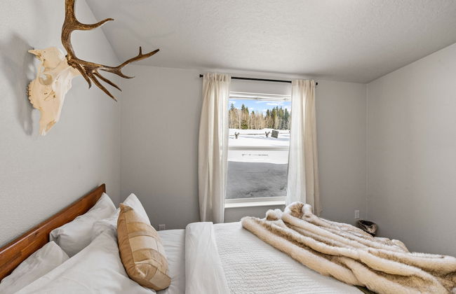 Hidden Pines - Photo 10