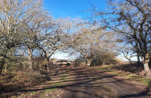 Exklusive Naturoase direkt am Ars Natura Wanderweg mit Panoramablick auf Melsungen - Foto 35