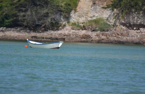 Gite Petite Chaumière-La Corne d'Or - Foto 7