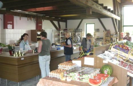 Sterne-Anlage HOF NIEMEYER Steinhuder Meer - Foto 41