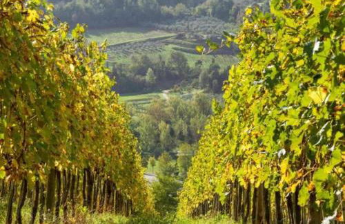 Tuscany Bliss: Garden Retreat - Foto 45