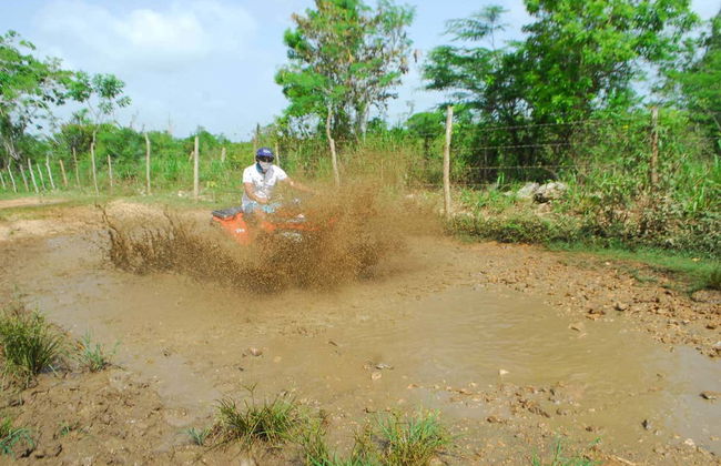Tour de quadriciclo pelos campos de cana-de-açúcar - Foto 2