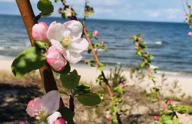 Aquamarina Onyx Blue - Foto 20