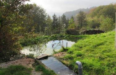 La chouette dort le gîte du retour à la source - Photo 26