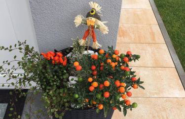 AQUA - TUHELJ - LAND - Foto 20