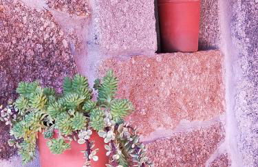 Templo do Río - Foto 18