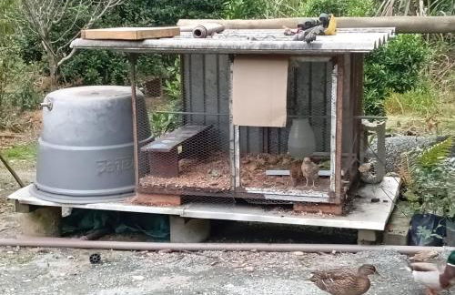 MICRO CASA DE SITIO DO TIO Tonho - Foto 15