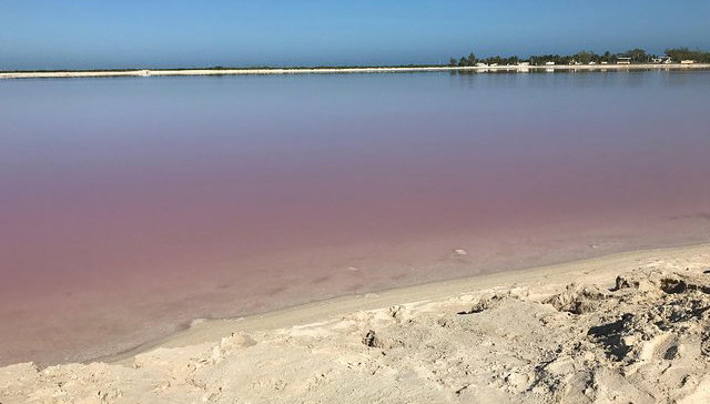 LAS COLORADAS & RIO LAGARTOS de la Riviera Maya et de Cancun (Privé) - Photo 1