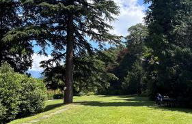 Casa Dolce Vita - Foto 14