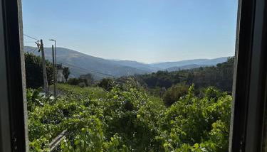 Quinta do Passal - Foto 3