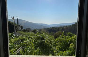 Quinta do Passal - Foto 3