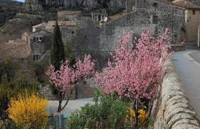 Gîte Le Petit rien du Haut - Village classé et plage à pied - Foto 21