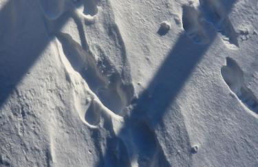 Ferienwohnung "Auszeit" - Photo 32