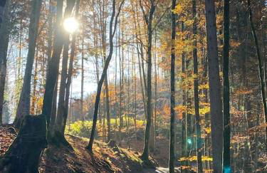 Penthouse im Dachgeschoss - Foto 32