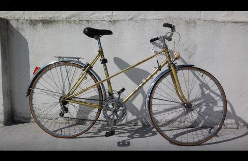 Golondrina - Foto 13