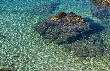 Villa Mrvica - Bilo, Primosten - Foto 24