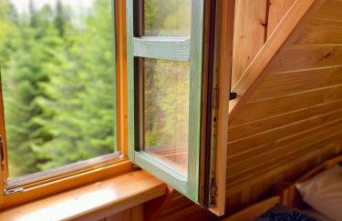 Baranówka - Foto 57