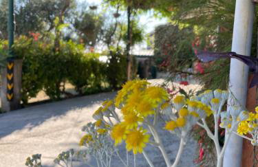 Apartments Leko - Foto 64