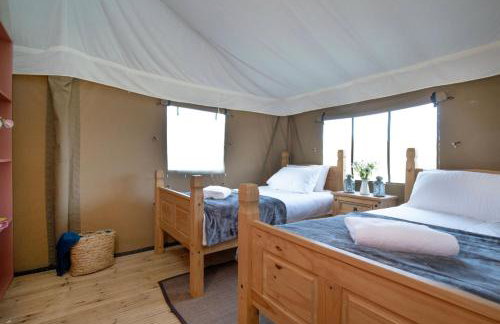 Linnet - Sweffling Hall - Foto 11