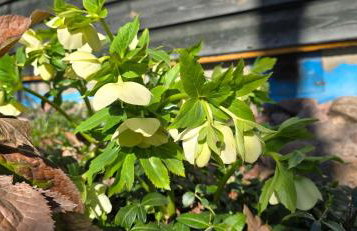 The Nest Koryciski Agroturystyka - Foto 15