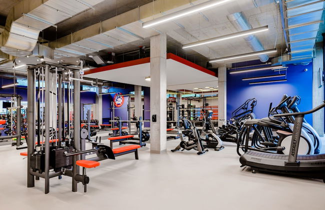 Armex LiveCentrum - Foto 31