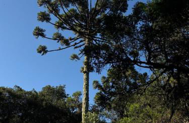 Duplex com vista espetacular no Morro do Elefante! - Foto 40