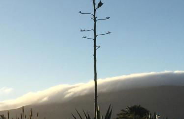 "Ziegenstall" mit Meerblick - Photo 18