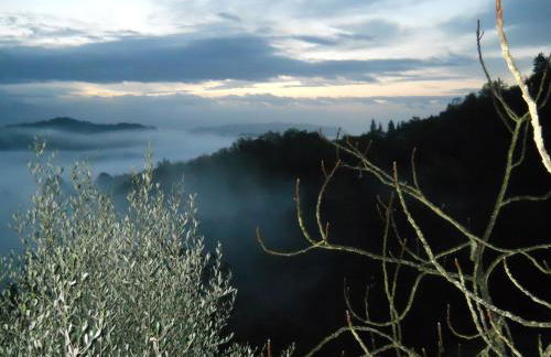 Casa Quaratica - Foto 56